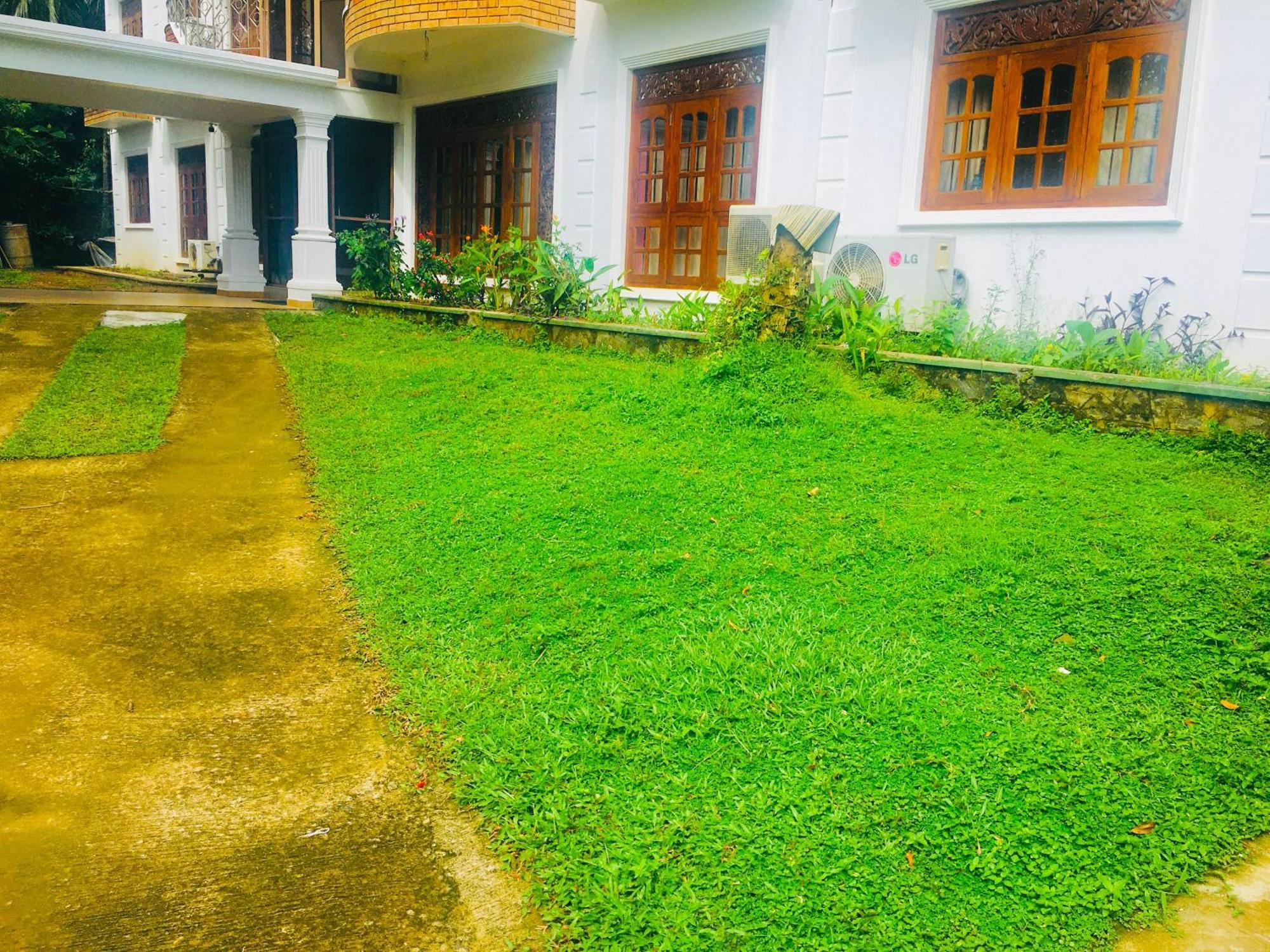 Mount House Hotel Apartment Dikwella Bagian luar foto